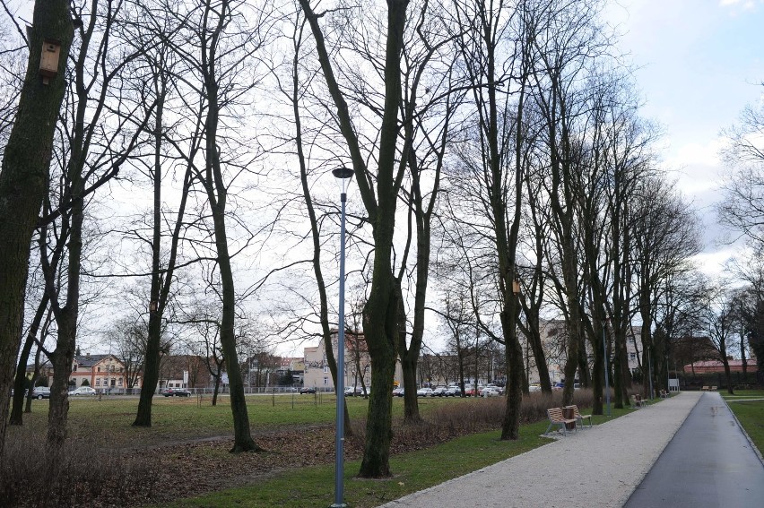 Park przy PWSZ w Lesznie