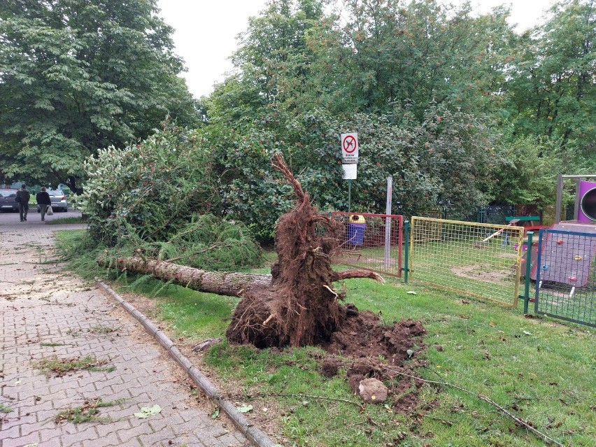 Lublin. Nocny kataklizm: zalane ulice, połamane drzewa, zniszczone samochody. „Od 20 lat czegoś takiego nie było na Czechowie"