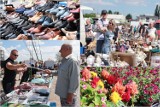 Tak było na Pchlim Targu w upalną niedzielę, 25 czerwca 2023 roku - duży wybór młodych warzyw, letnich ubrań, mebli i staroci. Zdjęcia, ceny