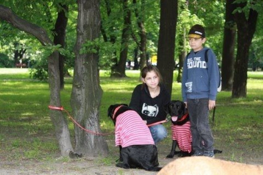 Mało kto z nas zdaje sobie sprawę, że szkolenie psa, który...