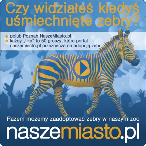 Weź udział w naszej akcji - adoptuj zebrę z poznańskiego ZOO!