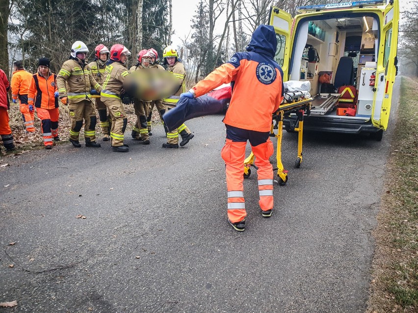 Wypadek na trasie Robczysko - Poniec. Dachował samochód z matką i dwójką dzieci