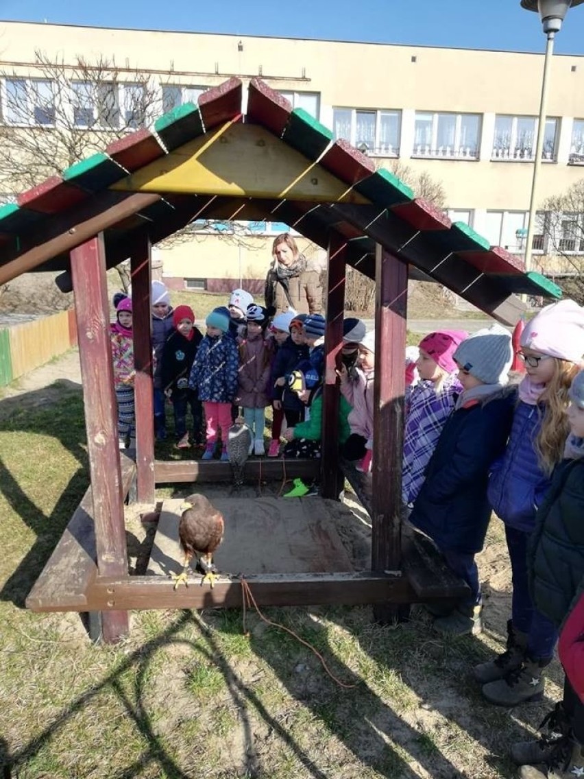 Ważni goście w bajce Jasia i Małgosi                 