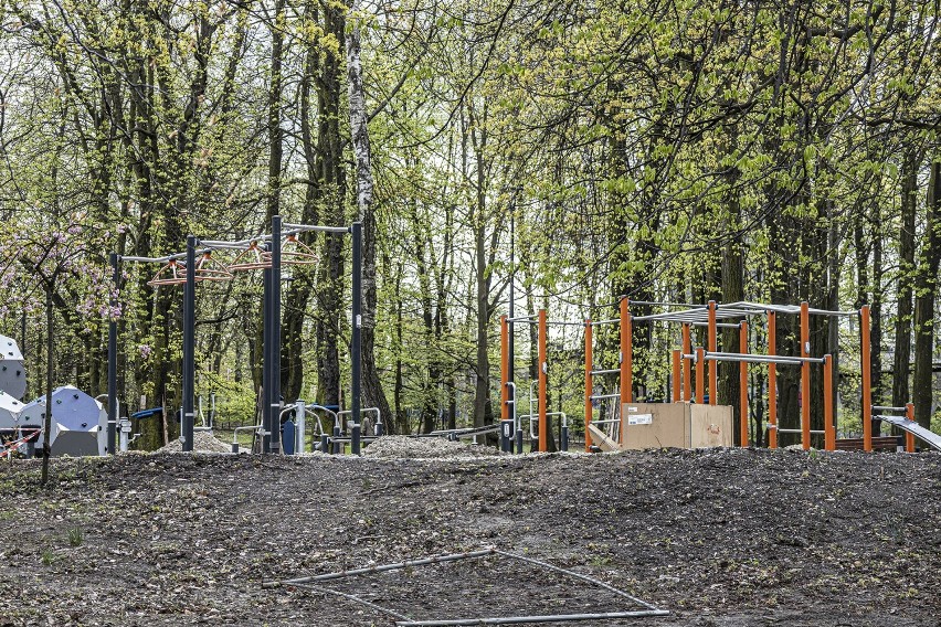 Park w Wełnowcu należy do czterech rewitalizowanych w...
