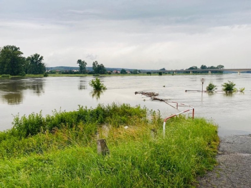 Powiat górowski. Wysoki poziom wody w Odrze. Mieszkańcy z niepokojem patrzą na rzekę. Radny pyta czy są bezpieczni [ZDJĘCIA]