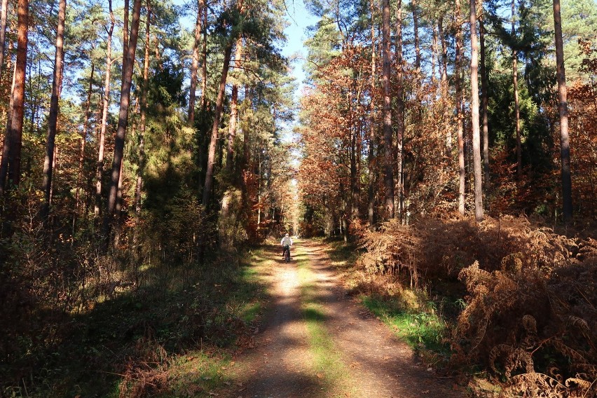 Śląskie Mazury polecają się na jesienny spacer. Piękne...