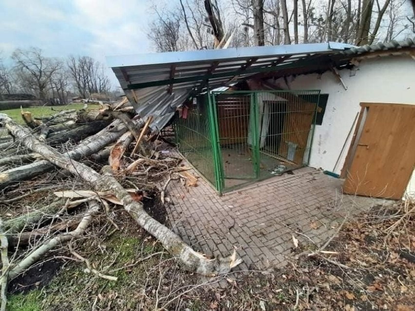 Zniszczone po lutowej wichurze schronisko dla zwierząt