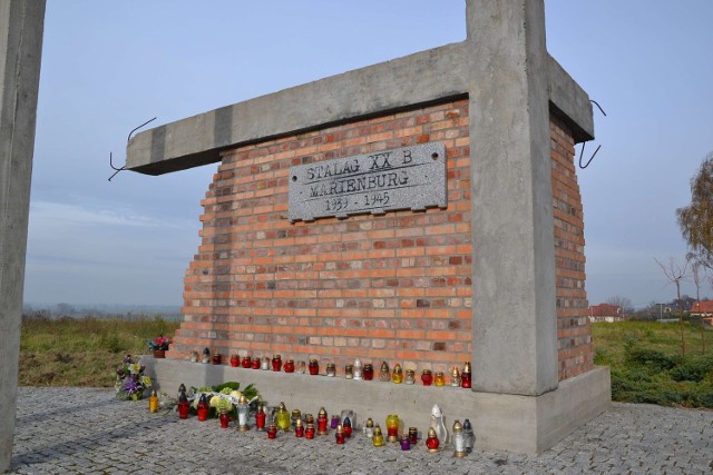 Okolice Pomnika Ofiar Stalagu XXB na Cmentarzu Komunalnym w Malborku. Aż tutaj podchodziły dziki.