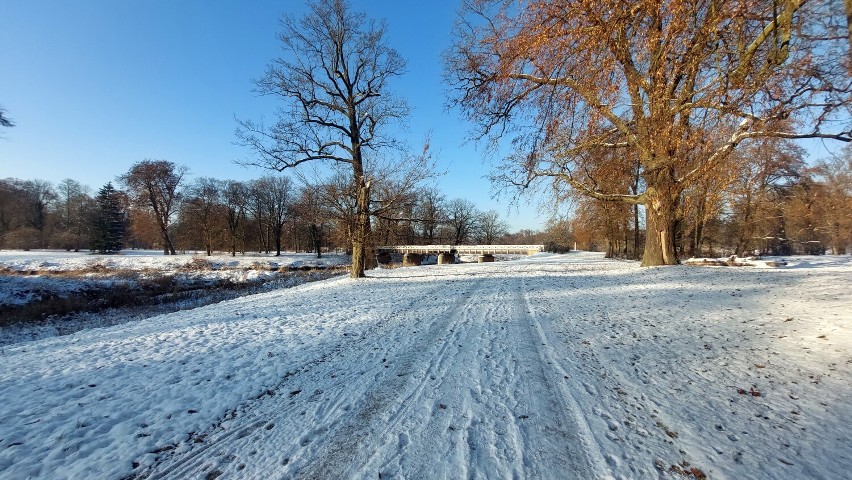 Park Mużakowski zimą