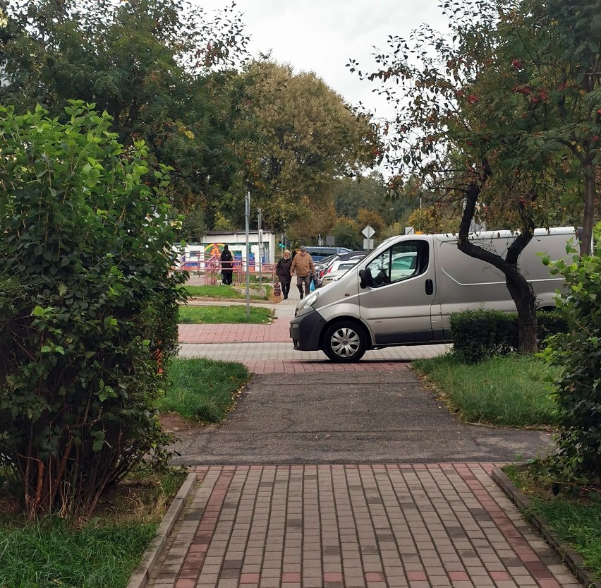 Parkingowe "święte krowy", czyli mistrzowie z Legnicy powracają [ZDJĘCIA]