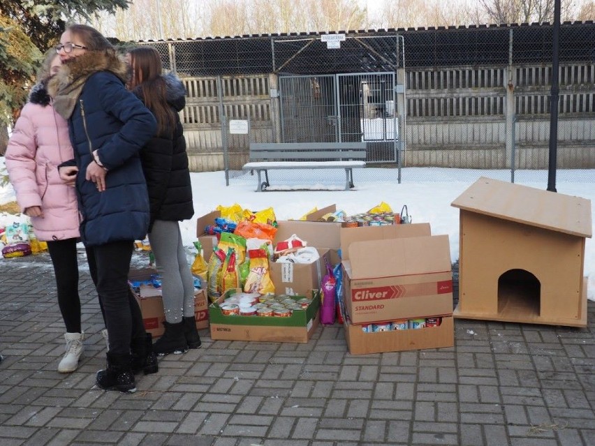 Uczniowie przekazali dary dla schroniska dla bezdomnych zwierząt w Radomsku