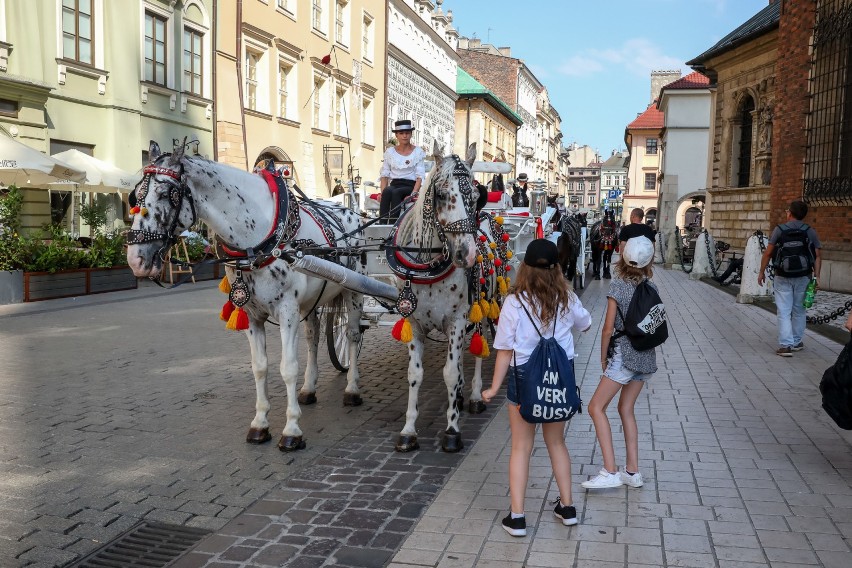 Kraków. Upał w mieście, mieszkańcy i turyści szukają wytchnienia