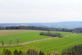 W Gozdnie koło Złotoryi stoi wieża widokowa. To idealne miejsce na wycieczkę dla całej rodziny. Widoki was zachwycą [ZDJĘCIA]