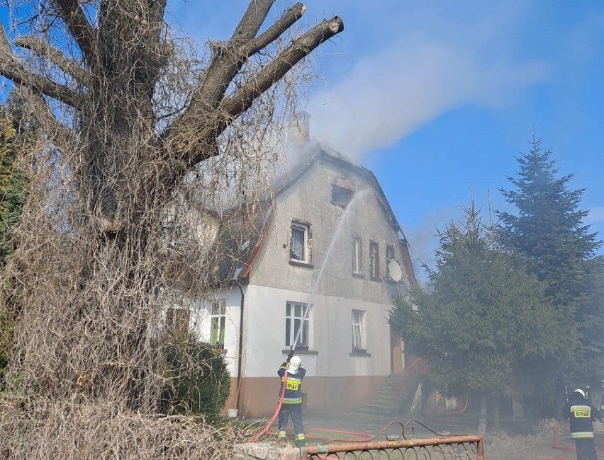 Pożar domu jednorodzinnego w centrum Sztutowa. Na miejscu jedenaście zastępów straży pożarnej