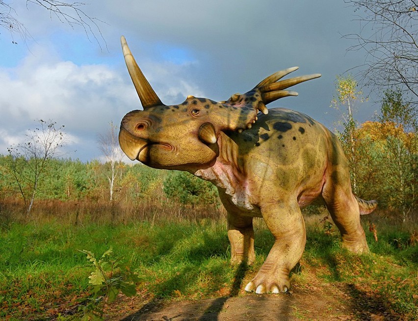 Roślinożerny styrakozaur ważył blisko trzy tony.