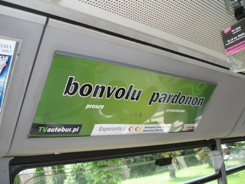 Zamontowana w środku autobusu tablica ze słowami w języku...