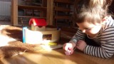 Ełganowo: Cichy zaułek dla milusińskich. W Ełganowie powstało nietypowe przedszkole "Wzgórze Montessori" 