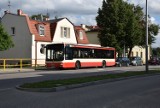 W wakacje autobus z Pruszcza do Sobieszewa pojedzie w każdy weekend 
