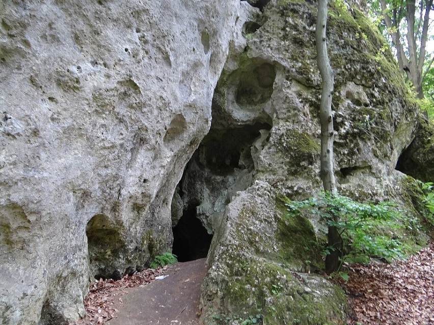 Jaskinia leży na terenie rezerwatu „Ostrężnik”, u podnóża...