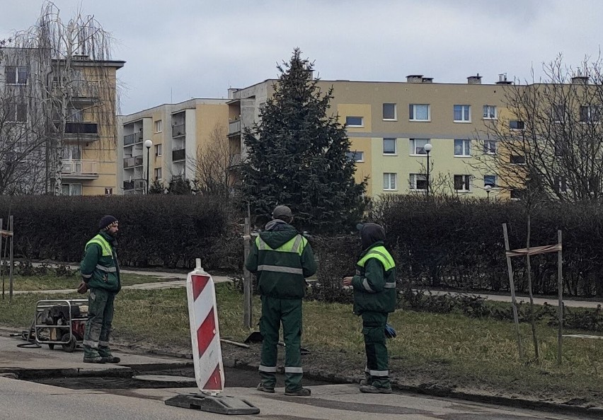 Łatanie dziur w Malborku. Rozpoczęły się wiosenne naprawy nawierzchni. Sprawdźcie w harmonogramie, kiedy ekipa dotrze na waszą ulicę