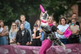 Bełchatowianka Weronika Burczyk i jej suczka Mori na Mistrzostwach Świata USDDN Dogfrisbee 2022 w Poznaniu