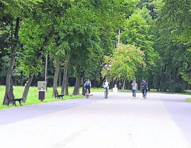 Nowotomyski Park Miejski im. Feliksa Szołdrskiego znajduje się na około 30 hektarach powierzchni. To zielone płuca miasta - podkreśla burmistrz