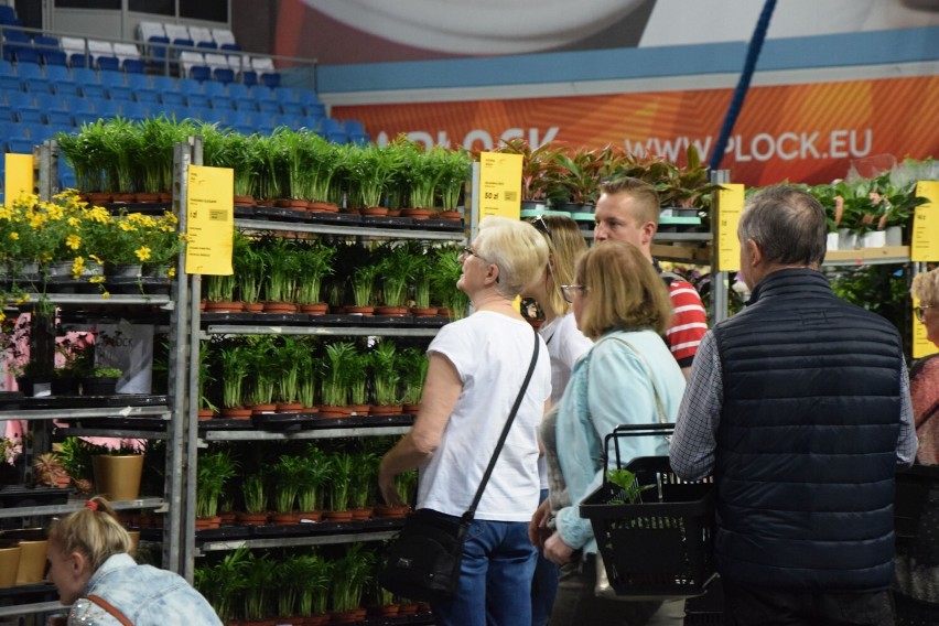 Festiwal Roślin w Płocku. Orlen Arena zakwitła doniczkowymi roślinami! Jakie rośliny kupimy i za ile? [ZDJĘCIA]