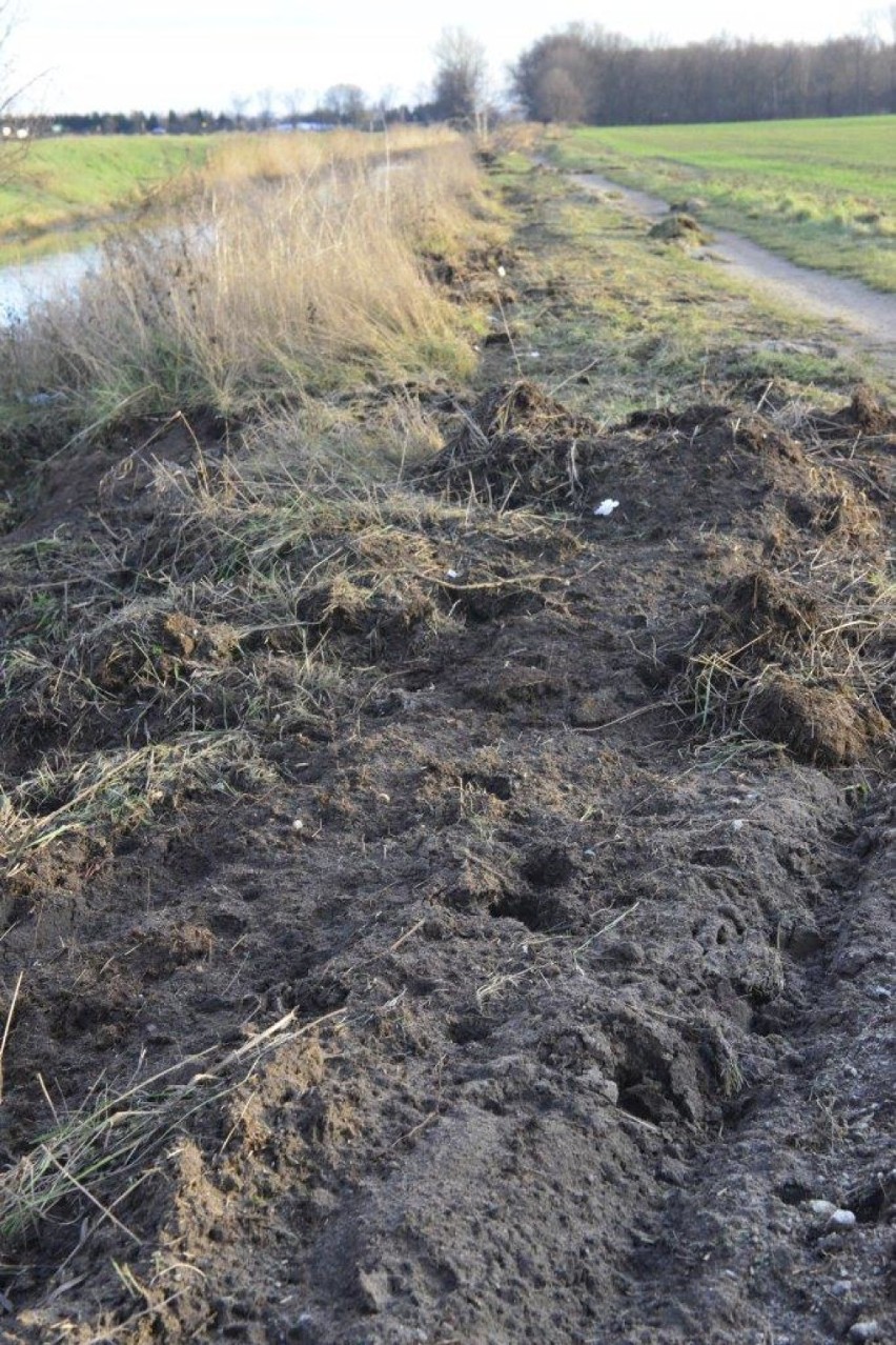   W czasie prac prowadzonych przez Wody Polskie zniszczono ścieżkę przy kanale