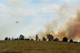 Pożar w Jaraczewie: pali się ściernisko