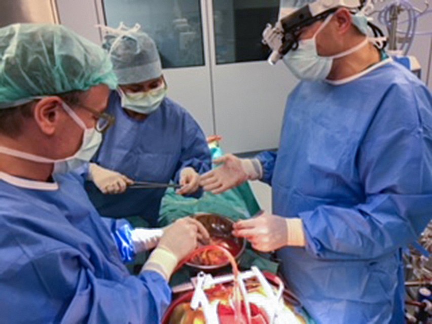 Operację przeprowadzili lekarze z warszawskich szpitali -...