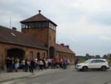 Powiat oświęcimski. Ruch samochodowy od Bramy Śmierci byłego obozu Auschwitz II - Birkenau zostanie odsunięty [ZDJĘCIA]