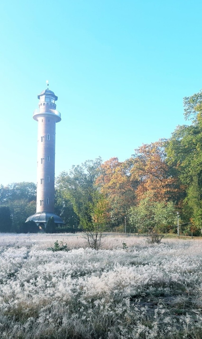 Wieża przeciwpożarowo - widokowa na ternie Ośrodka Edukacji...