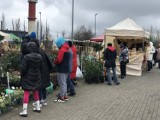 Targi Ogrodnicze Wiosna 2023 w Słupsku. Stoiska odwiedziło tysiące ludzi