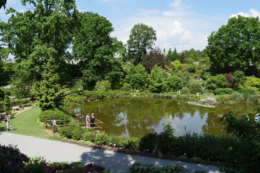 Arboretum w Wojsławicach — filia Ogrodu Botanicznego...