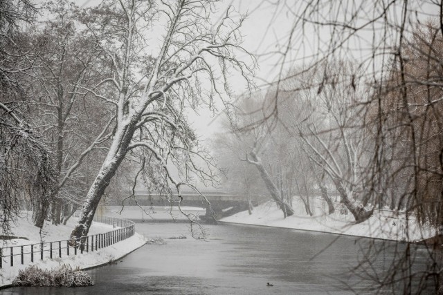 Ostatnie dni przyniosły w Bydgoszczy spore ochłodzenie i opady śniegu. Dla wielu była to długo wyczekiwana okazja, kiedy to można było wykonać pierwsze zdjęcia w zimowej scenerii.