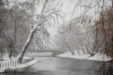 Bydgoszcz w zimowej aurze. Tak fotografowaliście ostatnie śnieżne dni w naszym mieście
