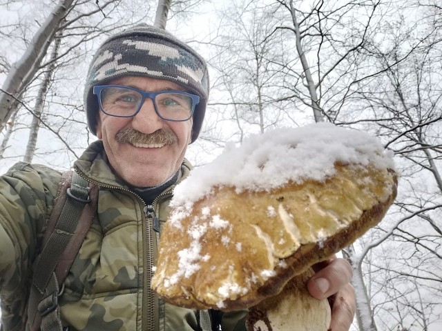 W Bieszczadach nawet pod śniegiem można znaleźć grzyby