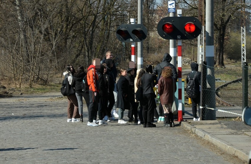 Głogowski Plac Festynowy nad Odrą opanowany przez...