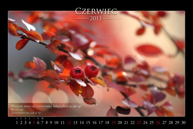 Kalendarz o Żuławach opracował Krzysztof Firko