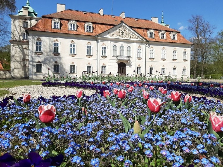 Pałac i ogród w Nieborowie
