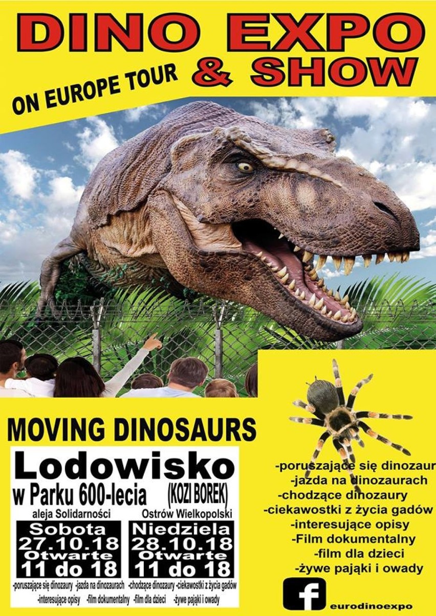 Podróżnicza wystawa dinozaurów i żywe pająki będziemy mogli już w weekend podziwiać w Ostrowie Wielkopolskim