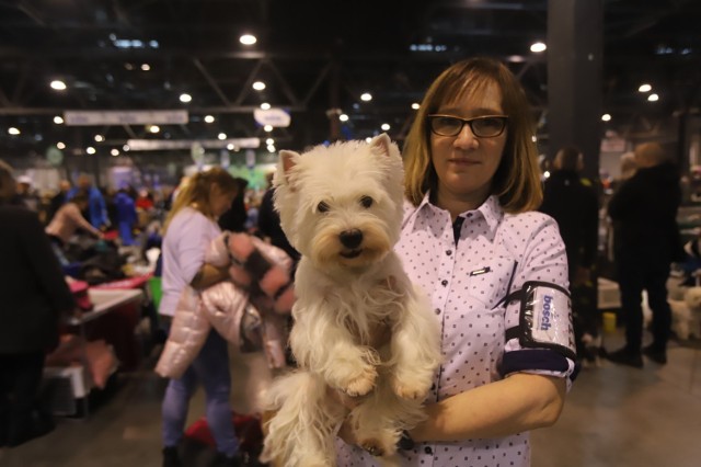 West Highland White Terrier

To dość żywotna rasa. Jest dość uparta ze swoimi temperamentem. Te psy bardzo lubią ruch, więc dobrze będą się czuły wśród osób aktywnych. 

Na zdjęciu pani Sabina Pyka ze Świętochłowic ze swoim psem

