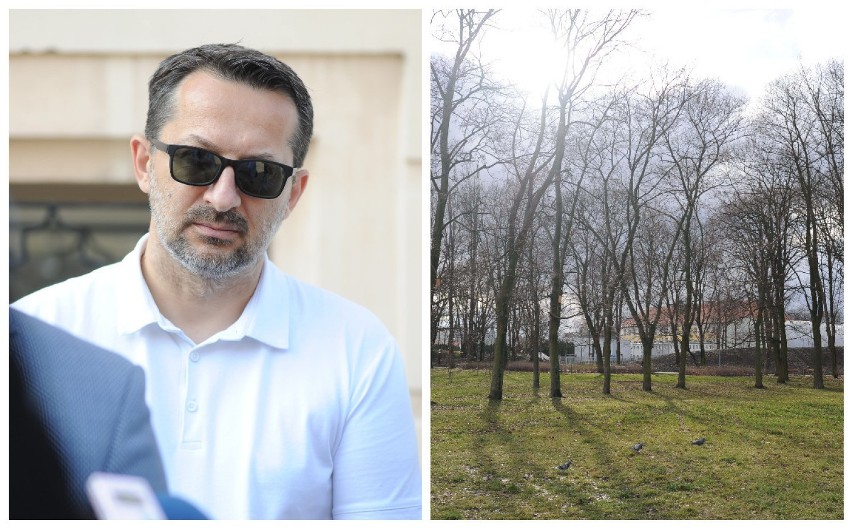 Park przy PWSZ nie może istnieć bez drzew - uważa radny Tomasz Mikołajczak