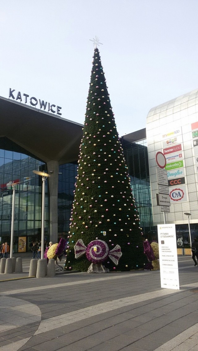 Choinka w Katowicach