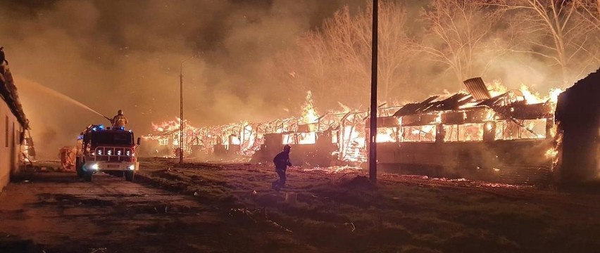 Pożar gospodarstwa w Dąbrowie Łużyckiej koło Przewozu. Akcja...