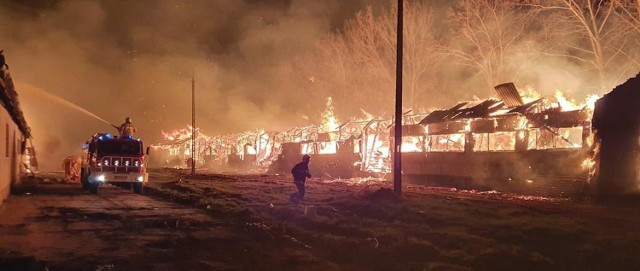 Pożar gospodarstwa w Dąbrowie Łużyckiej koło Przewozu. Akcja strażaków trwała całą noc i wiele godzin w ciągu dnia.