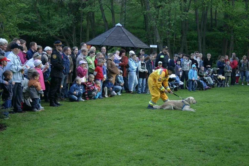 Impreza dla dzieci niepełnosprawnych w zoo