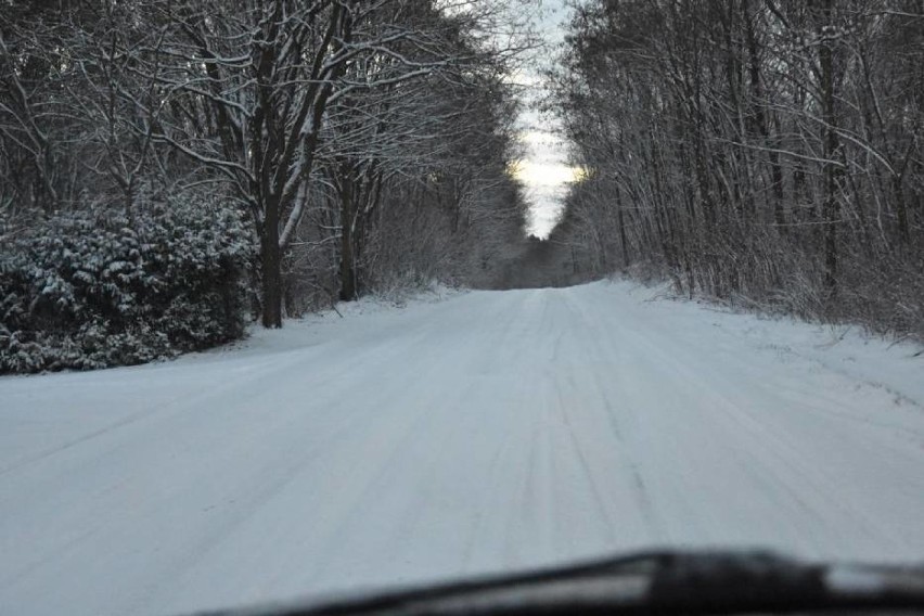 Powiat nowotomyski: Przypominamy, jak wygląda... śnieg