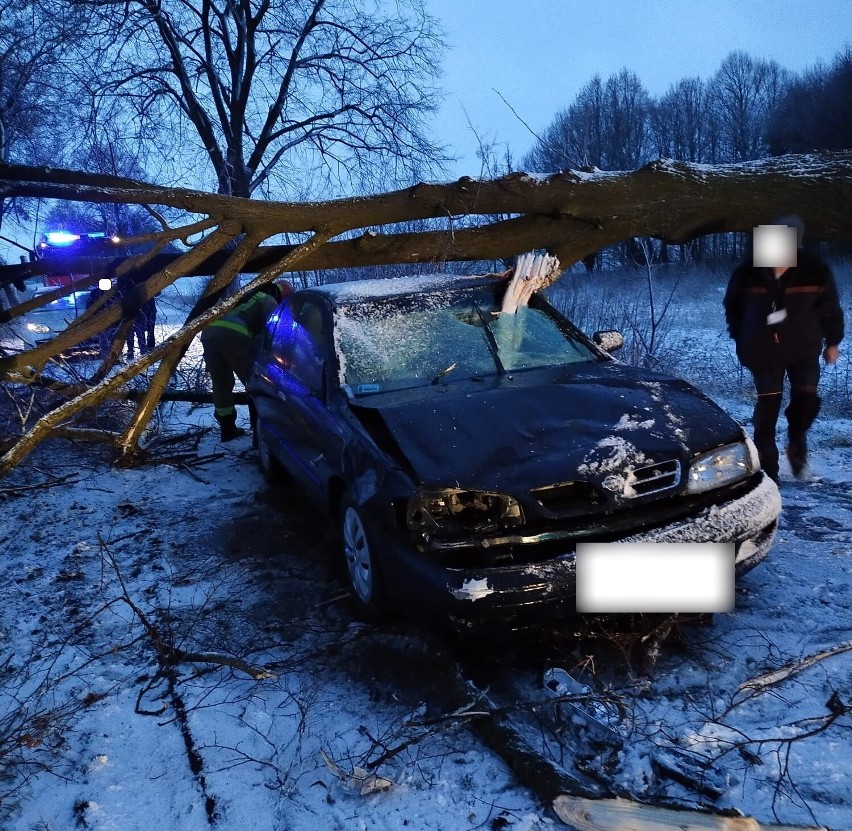 Gm. Stare Pole. Drzewo przewróciło się na przejeżdżający samochód osobowy