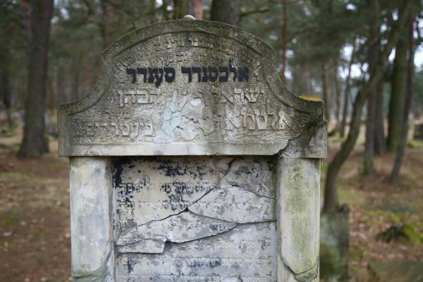 Żydowski cmentarz w Otwocku. Ich kości sprzedawano, a groby...